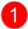 Primary Icon