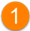 Primary Icon