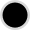 Primary Icon