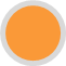 Primary Icon