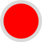 Primary Icon